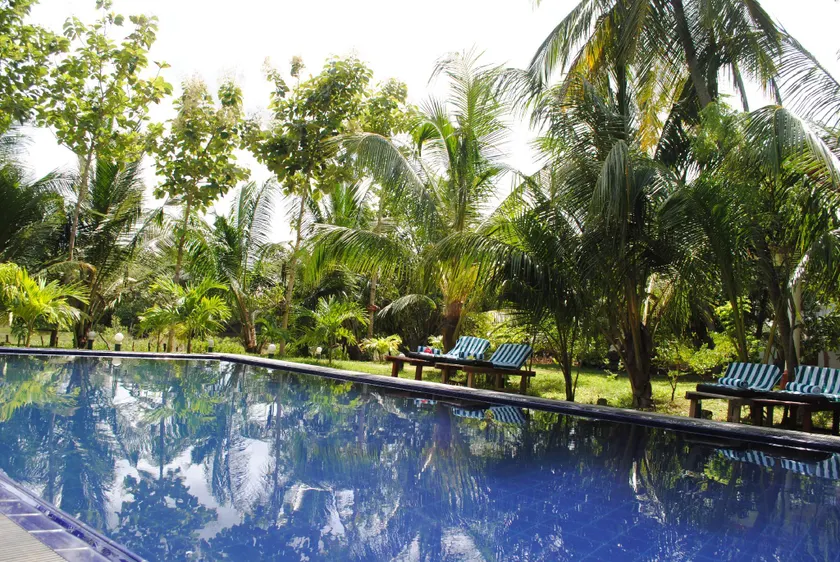 Peacock Land - Image 1