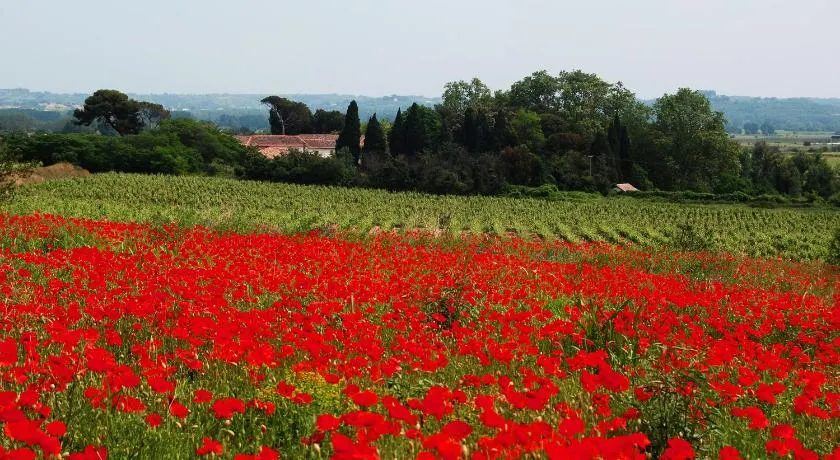 Domaine Saint Ferreol - Image 1