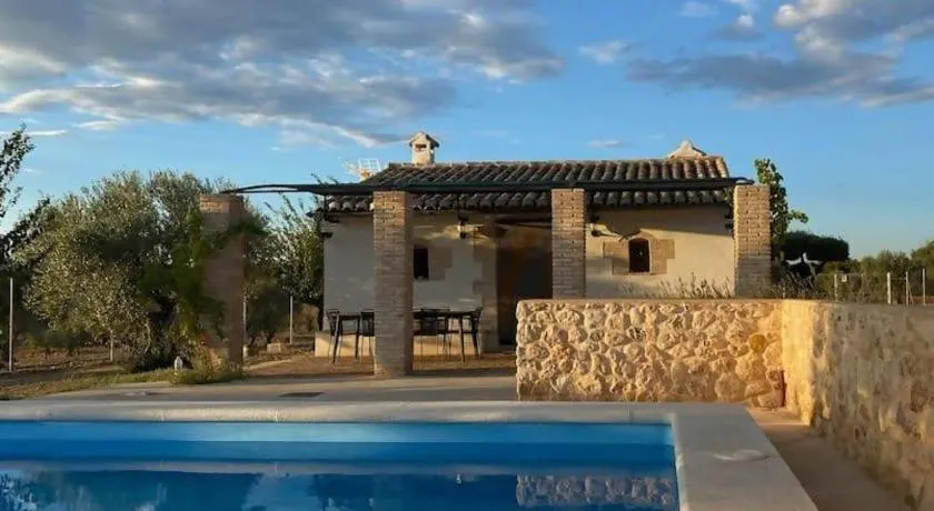 Casita rural entre olivos - Image 1