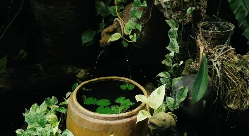 Homestay in Tay Ninh - Image 1
