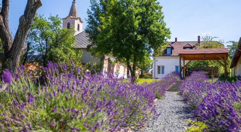 Nora Guest House - Happy Rentals - Image 1