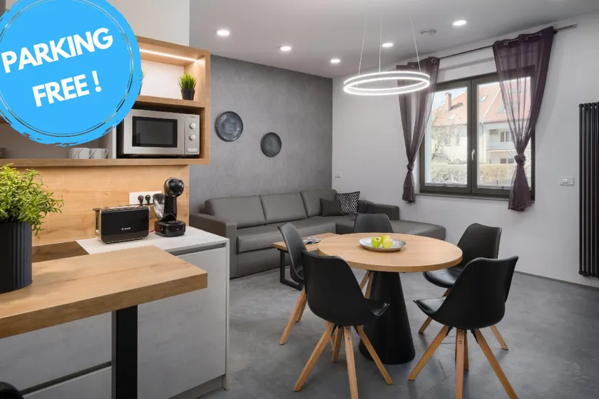 Vila Emona - Central Apartments - Free Parking - Image 1