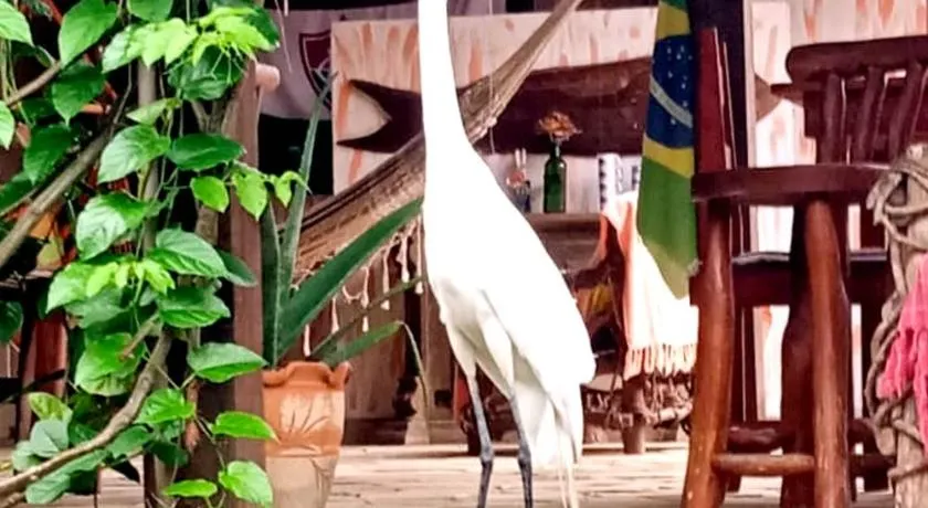 Pousada Chalé na Roça Penedo - Image 1