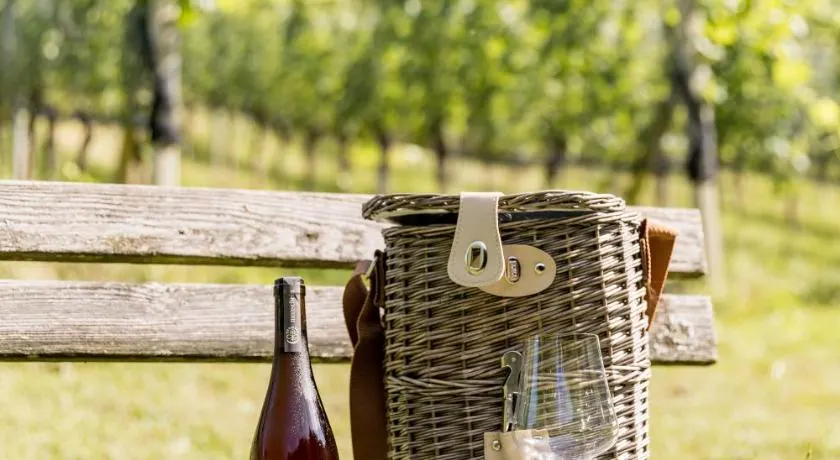 Monschein Weingut Straden - Image 1