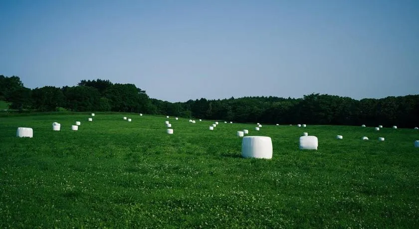MAOIQ - Image 1