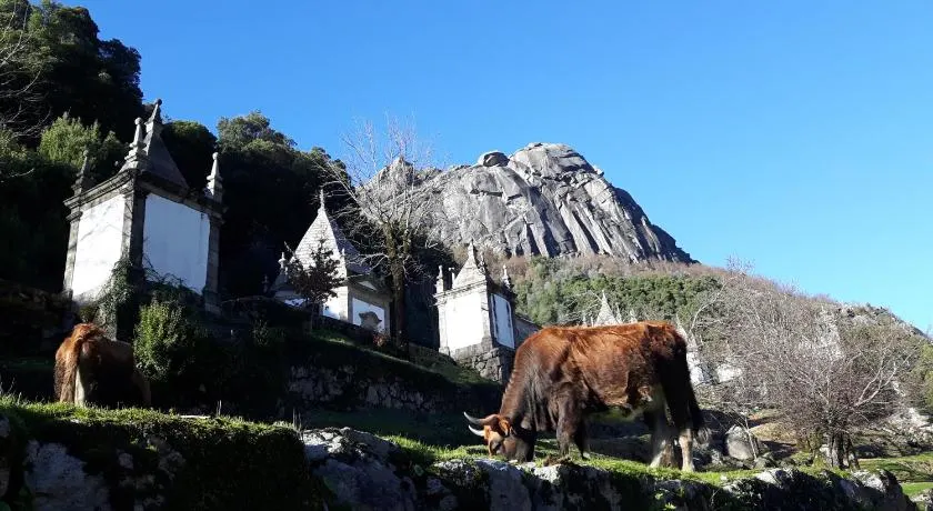 Penedino Mountain Cottage - Image 1