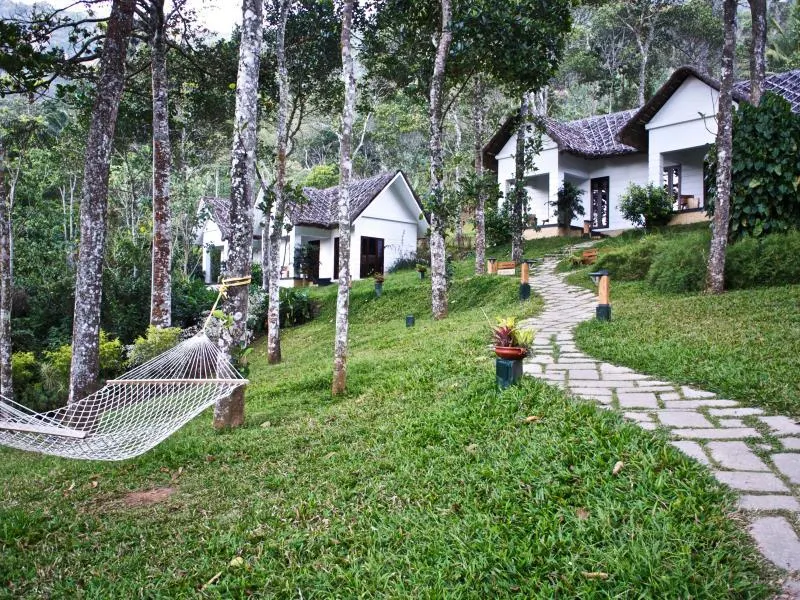 Niraamaya Retreats Cardamom Club - Image 1
