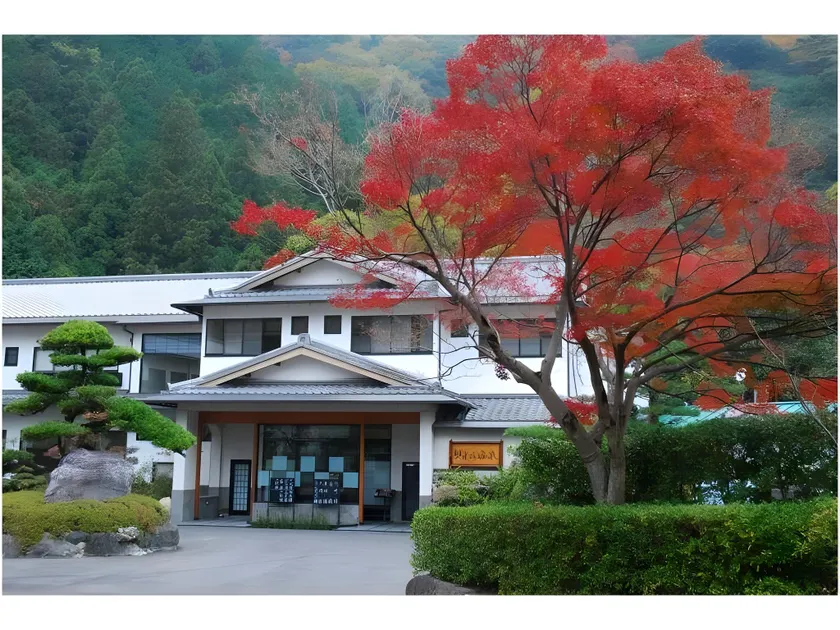 Okumizuma Onsen - Image 1