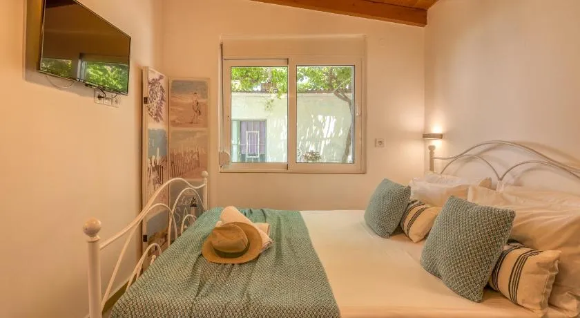 Vitis Vinifera Tranditional Studio Apartment - Image 1