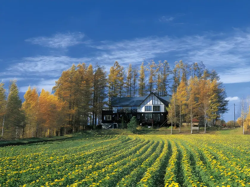 Adagio Hokkaido - Image 1
