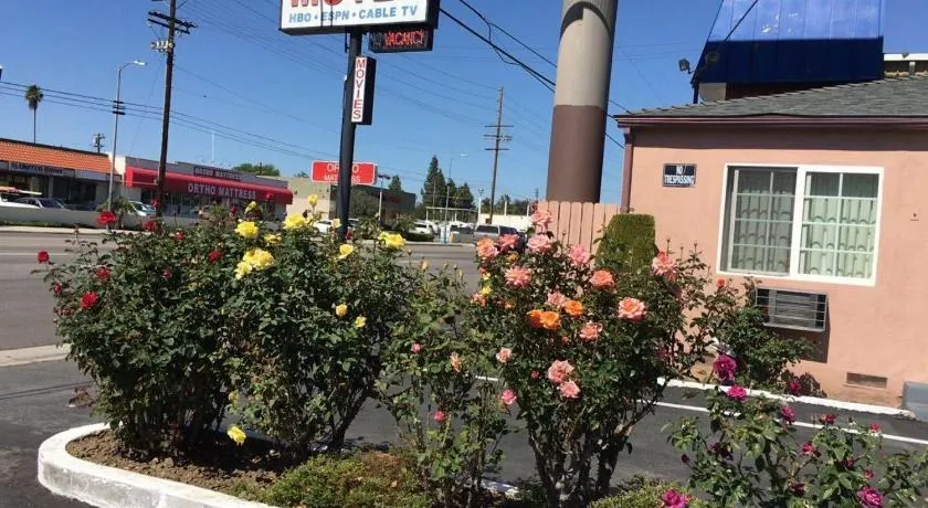 Cinema Motel - Image 1