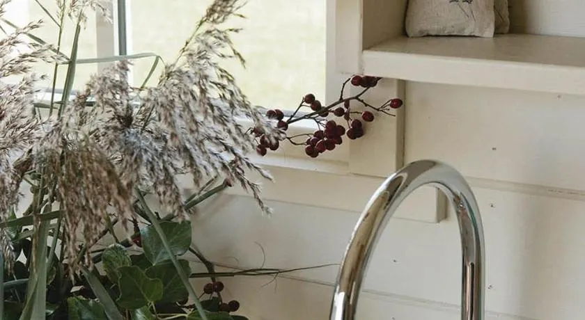 The Lookerer by Bloom Stays - Image 1
