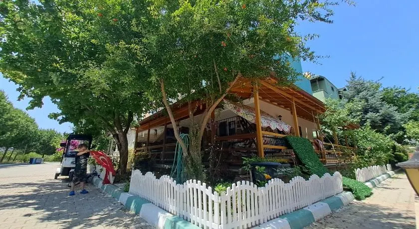 Kuşadası Starfish - Image 1