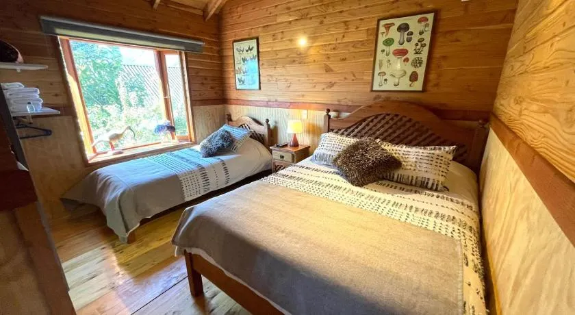 Hostal Pucon Sur - Image 1