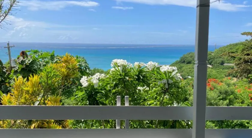 Paradise View at Halcyon Heights l Stunning Ocean View 1BR l 10 minute walk to the Beach - Image 1