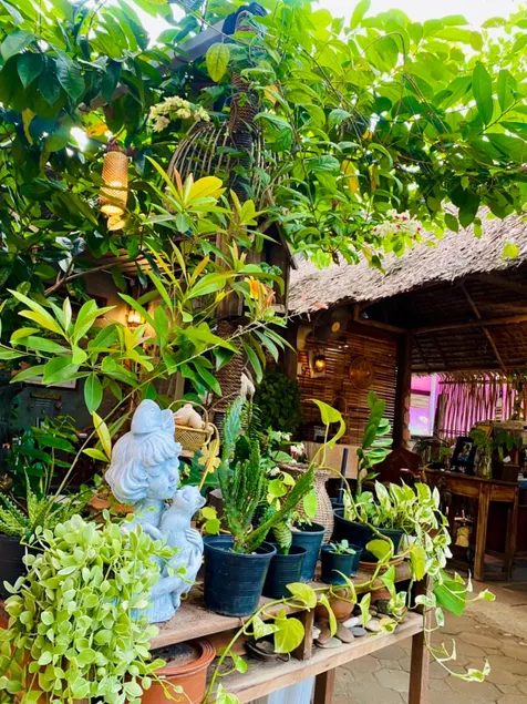 Thai Guesthouse - Image 1