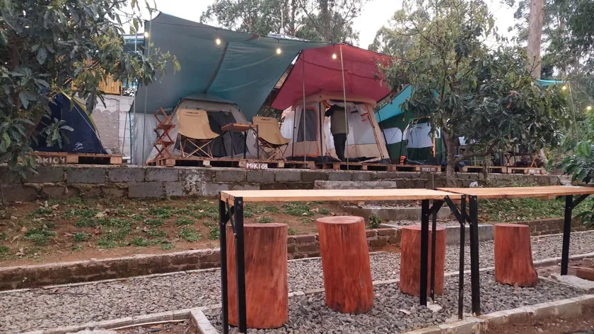 AVO CAMP - Image 1