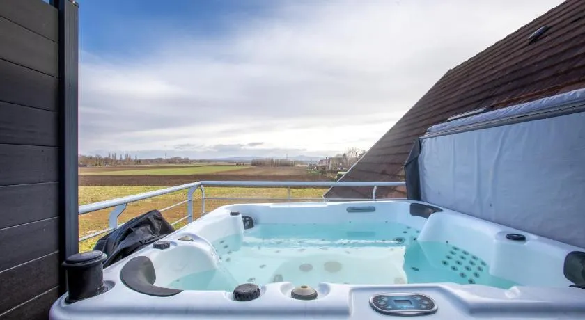ESPLANADE HOME Private SPA Jacuzzi Sauna Parking, Colmar - Image 1