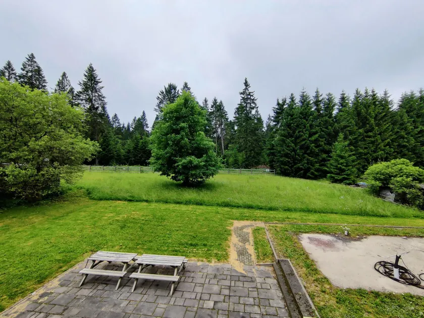 Thuringian Forest House - Image 1