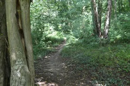 Pause Nature N - Image 1