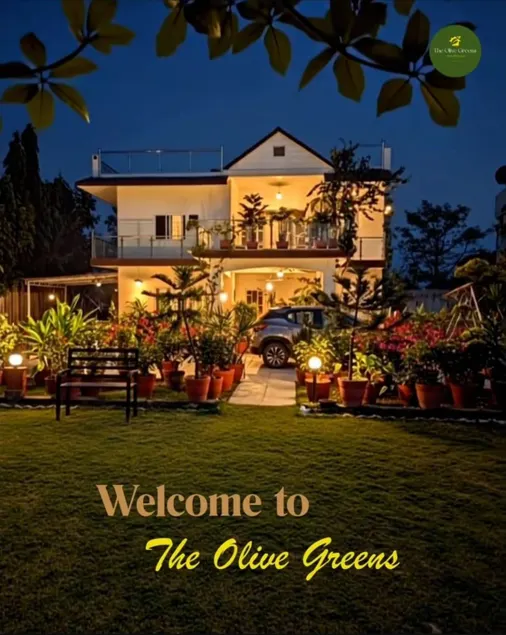 The Olive Greens - Image 1