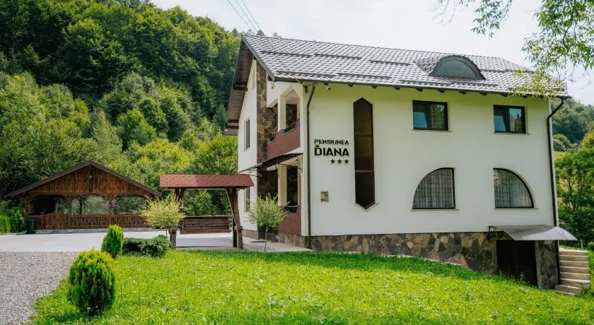 Pensiunea Diana - Image 1
