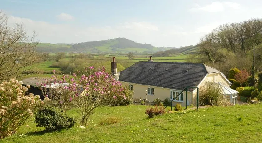Bryn Hebog - Image 1