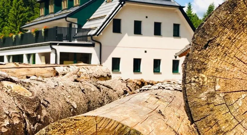 Chata pod Obřím hradem - Image 1