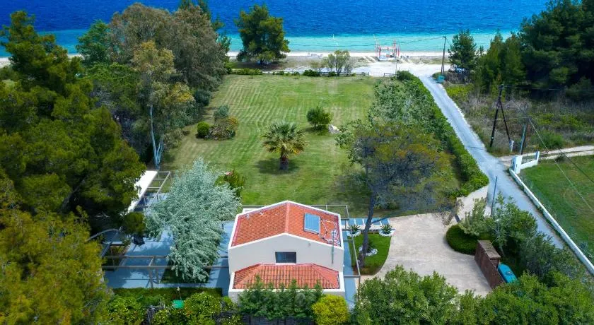 Tiamo Secrets - Palm Garden - Image 1