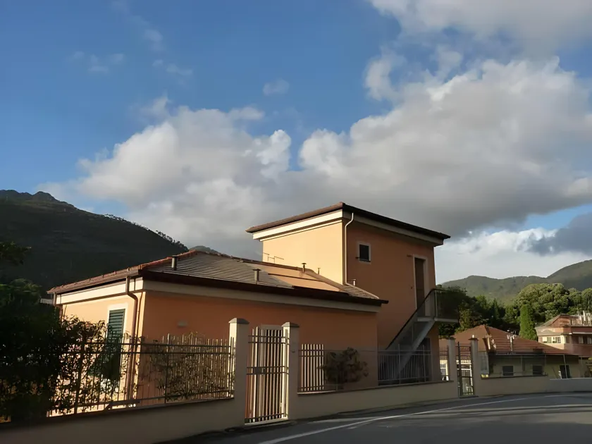 La Gerbera - Image 1