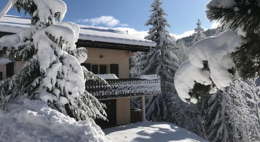 Chalet les trolles - Image 1