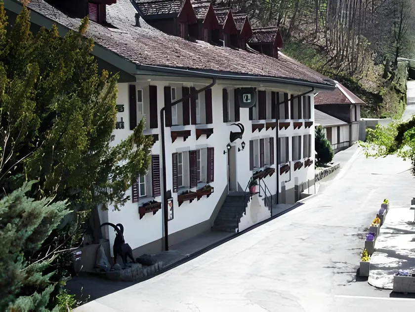 Historic Hotel Steinbock - Image 1