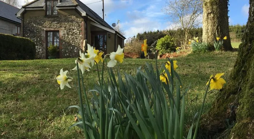 Meadow Sweet Cottage - Image 1