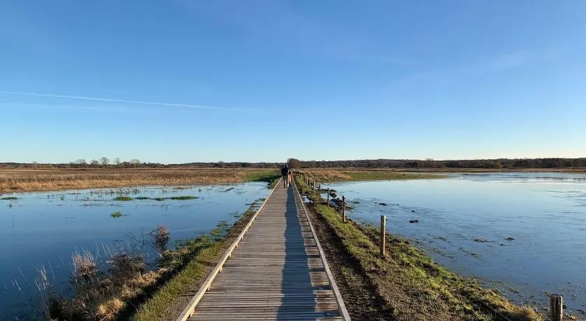 Ørbakke - Søborg Sø - Image 1