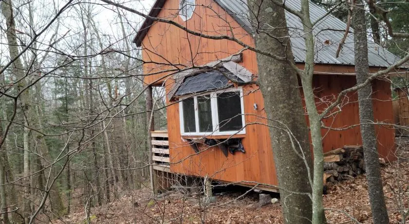 Vana Kuti-cabin in the woods - Image 1