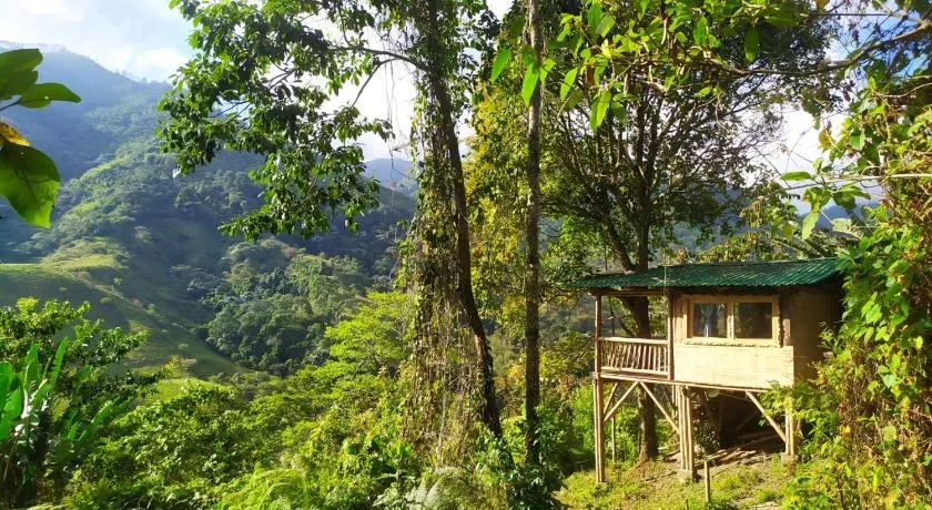 Casa Del Árbol Mirolindo Pijao Quindío - Image 1