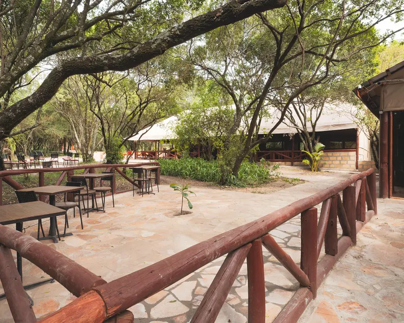 Mara Kimana Camp - Image 1