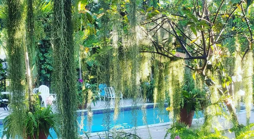 Orchid Cottage - Image 1
