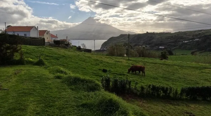 Appartement avec barbecue et jardin | Vue plage | Parfait pour le travail à distance - Image 1