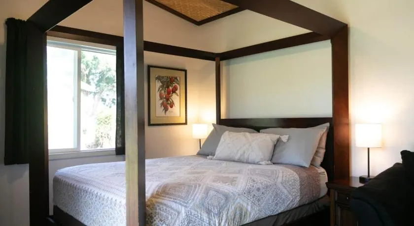 North Shore Studio - Image 1