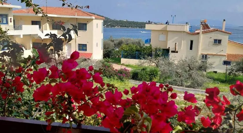 Theano apartment - Image 1