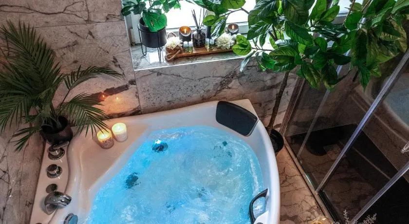 Royale Lumineux Jacuzzi Parking privé - Image 1