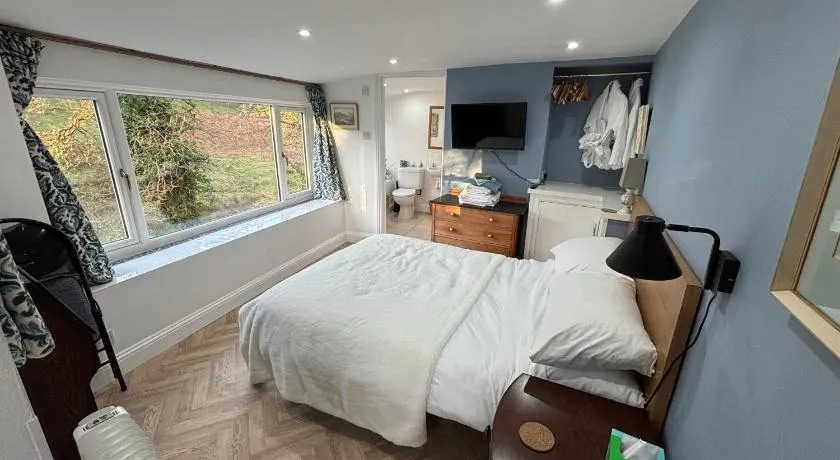 The Guest Room - Image 1