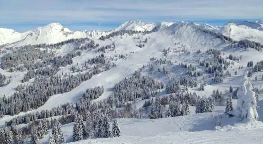 Studio cosy à Les Gets 25 m² avec vue montagne - Image 1
