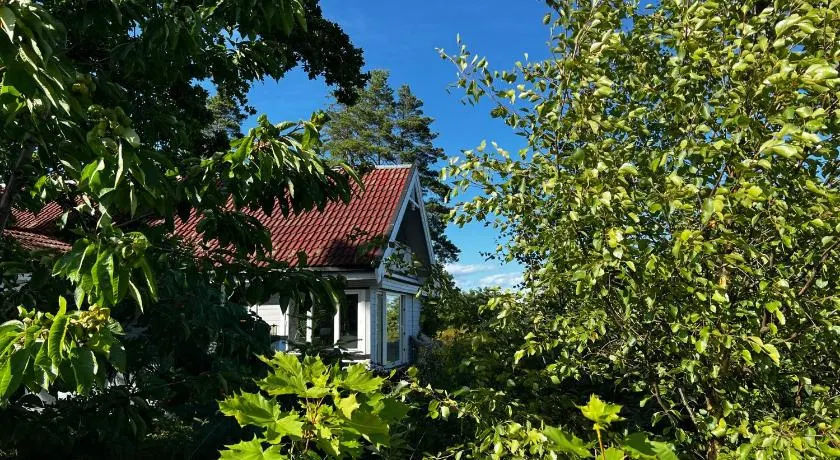 Son view - Image 1