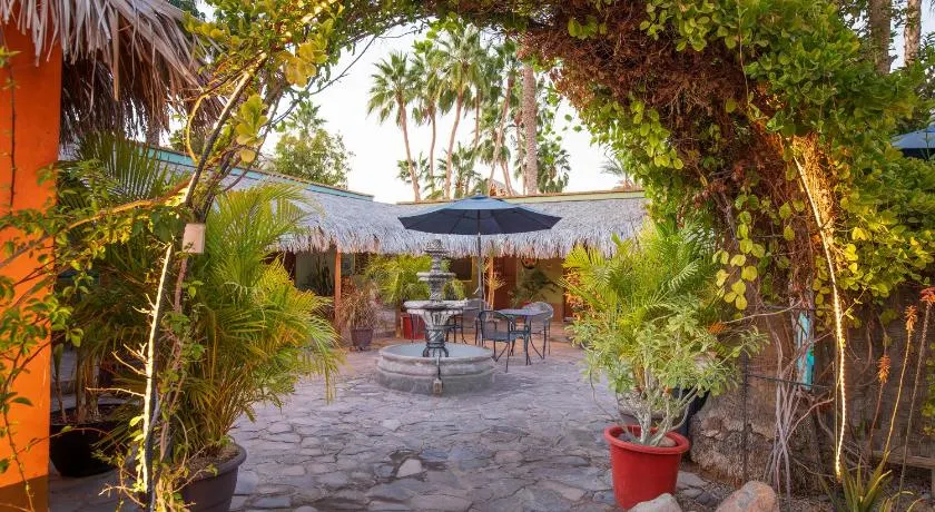 Iguana Inn - Image 1