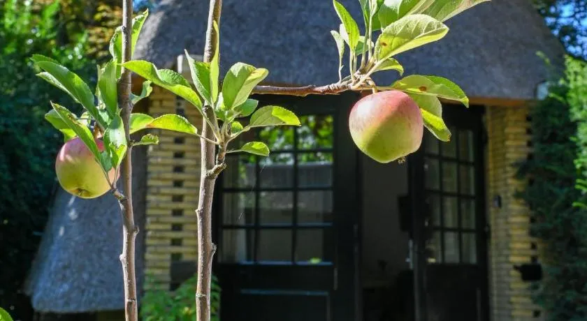 Kleine Buur - Image 1