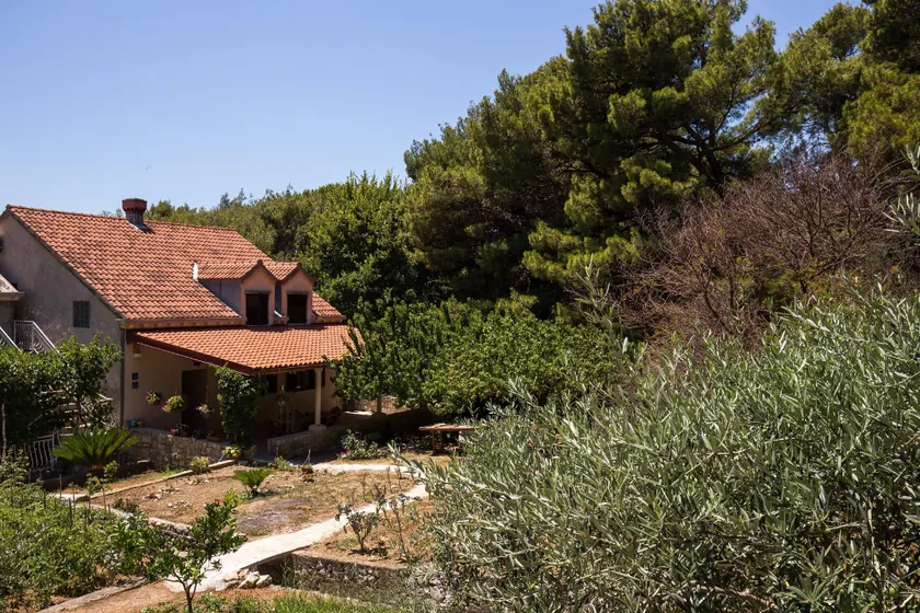Apartment & Rooms Papa - Image 1