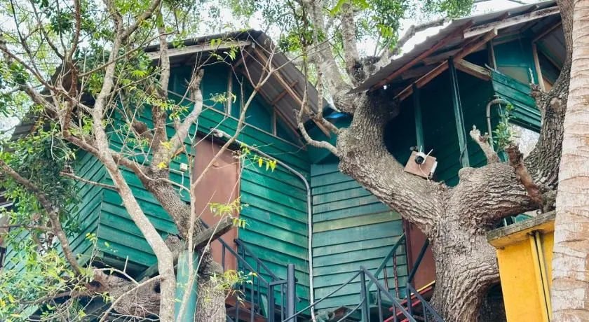 Eco Tree House Yala - Image 1