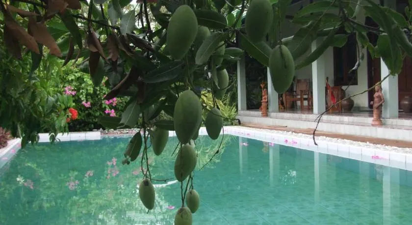 Rumah Sawah - Image 1